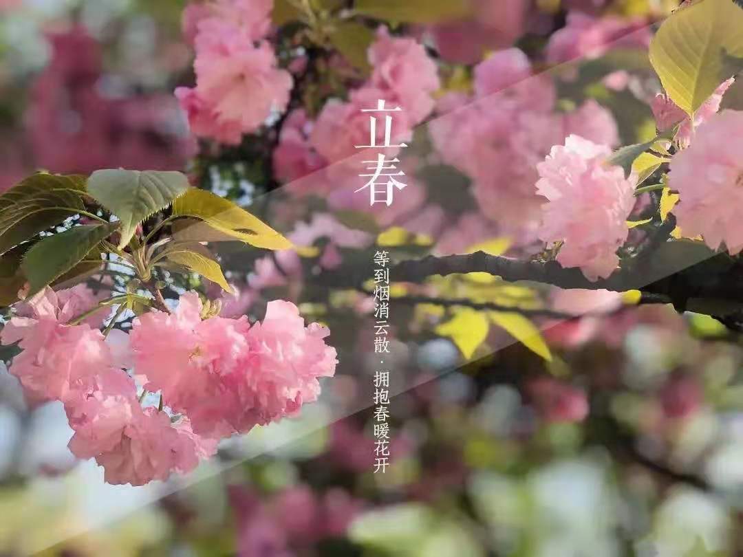 二十四节气之立春|等到烟消云散，拥抱春暖花开！